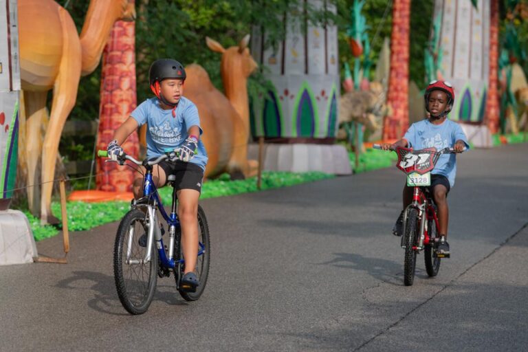Trike & Bike 2025 – Wilderness Trek Loop