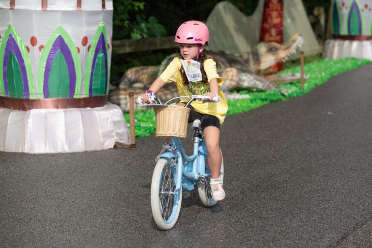 Trike & Bike 2025 – Wilderness Trek Loop