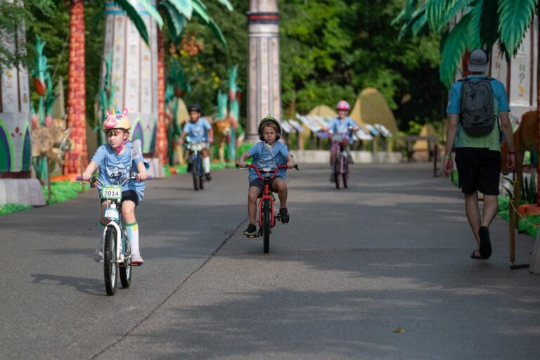 Trike & Bike 2025 – Wilderness Trek Loop