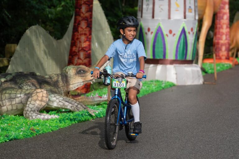 Trike & Bike 2025 – Wilderness Trek Loop