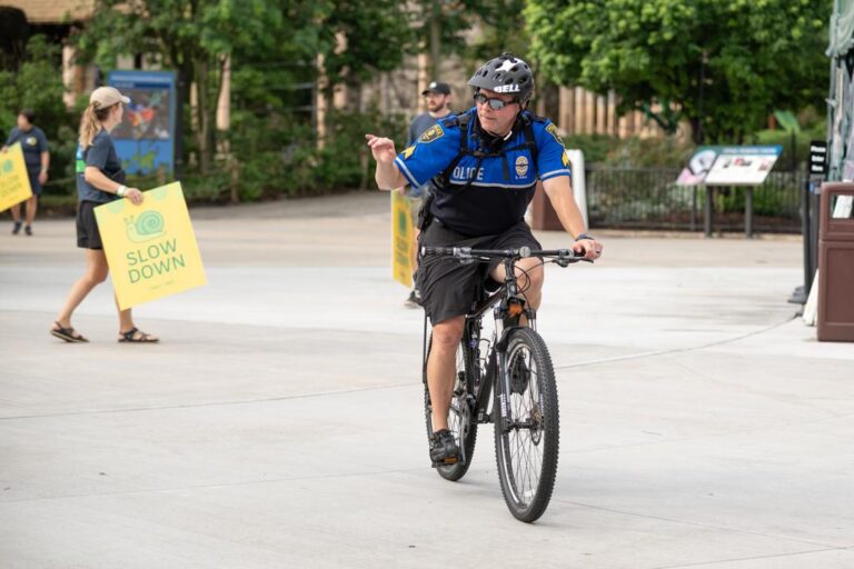 Trike & Bike 2025 – Wilderness Trek Loop