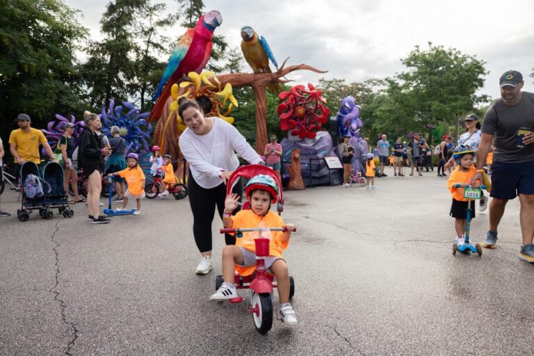 Trike & Bike 2025 – Elephant Loop