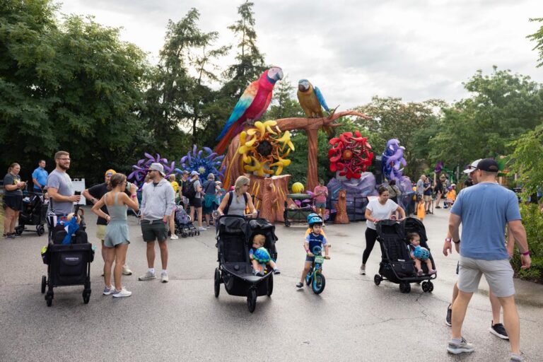 Trike & Bike 2025 – Elephant Loop