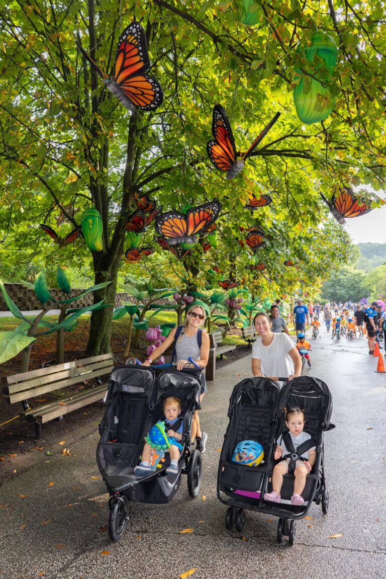 Trike & Bike 2025 – Elephant Loop