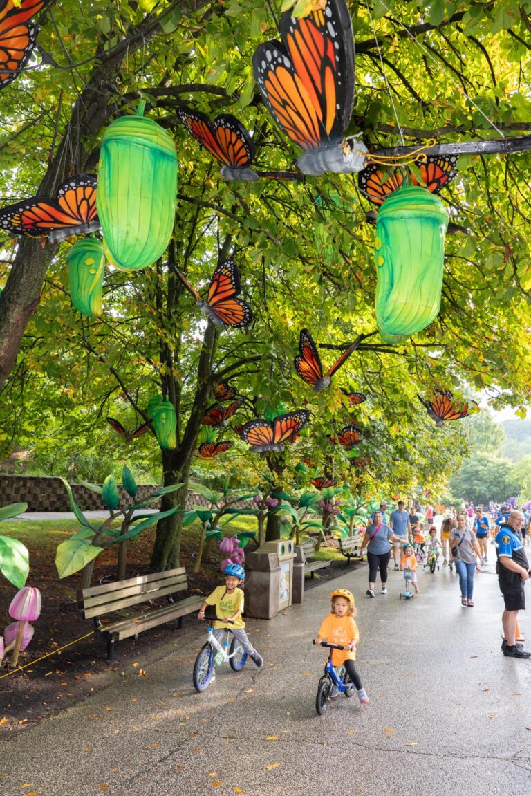 Trike & Bike 2025 – Elephant Loop