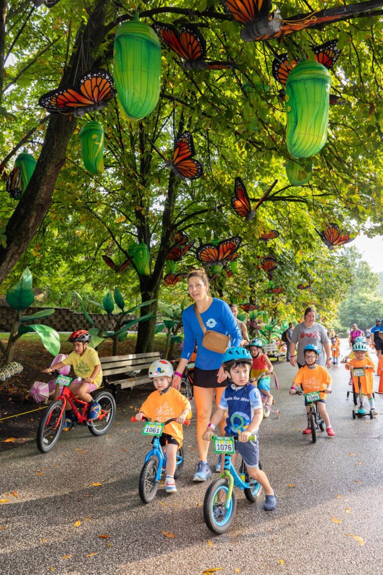 Trike & Bike 2025 – Elephant Loop