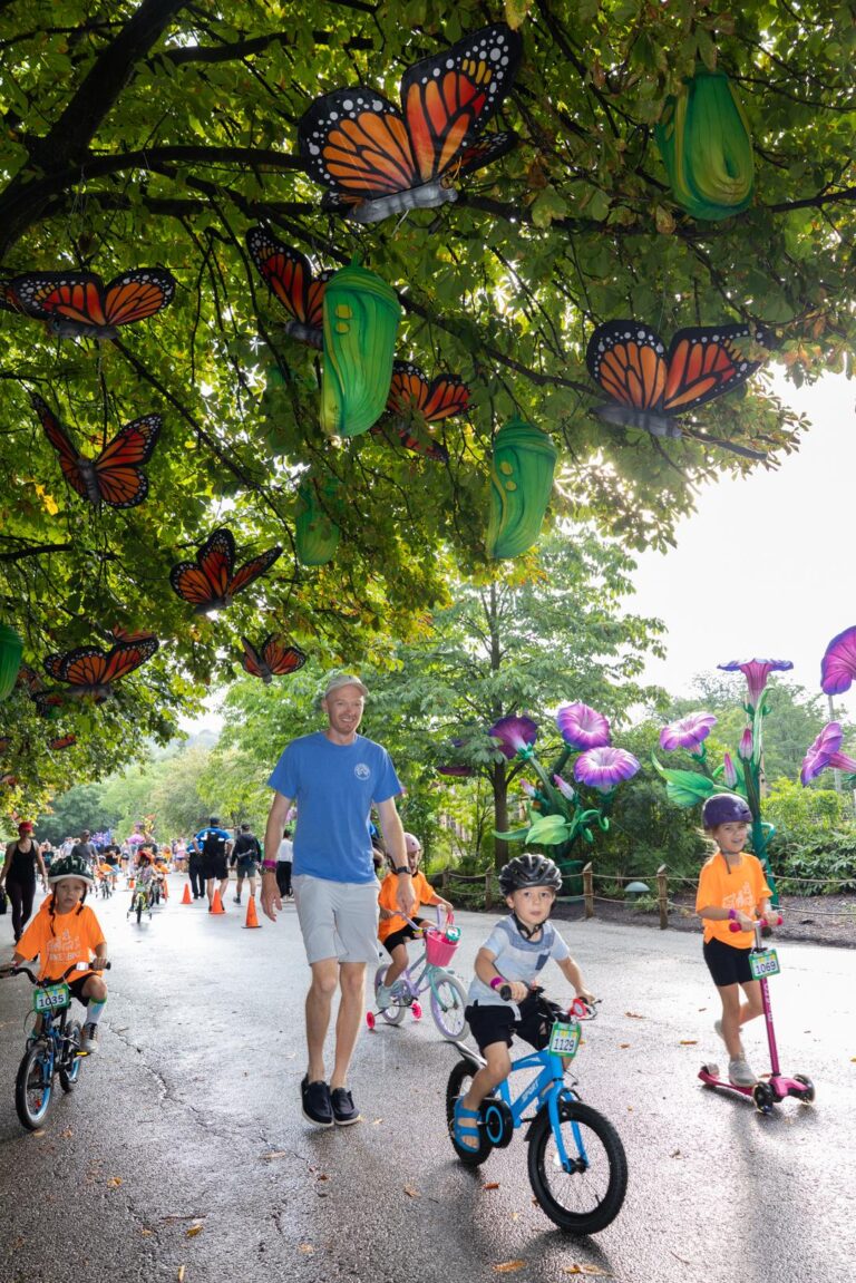 Trike & Bike 2025 – Elephant Loop