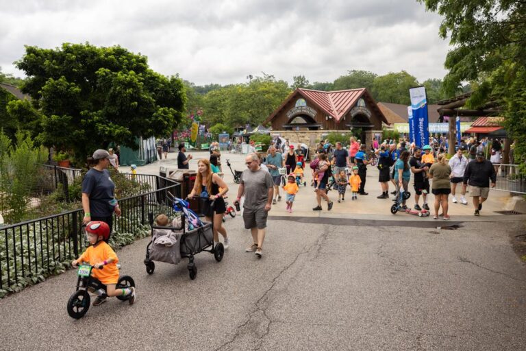 Trike & Bike 2025 – Elephant Loop