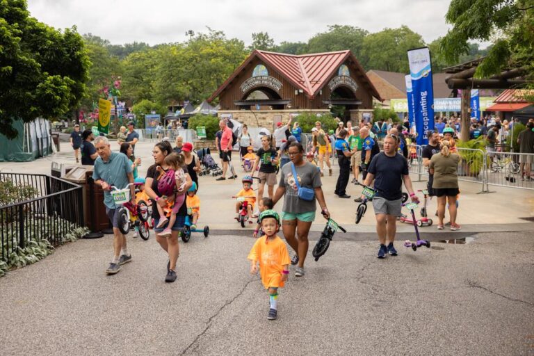 Trike & Bike 2025 – Elephant Loop