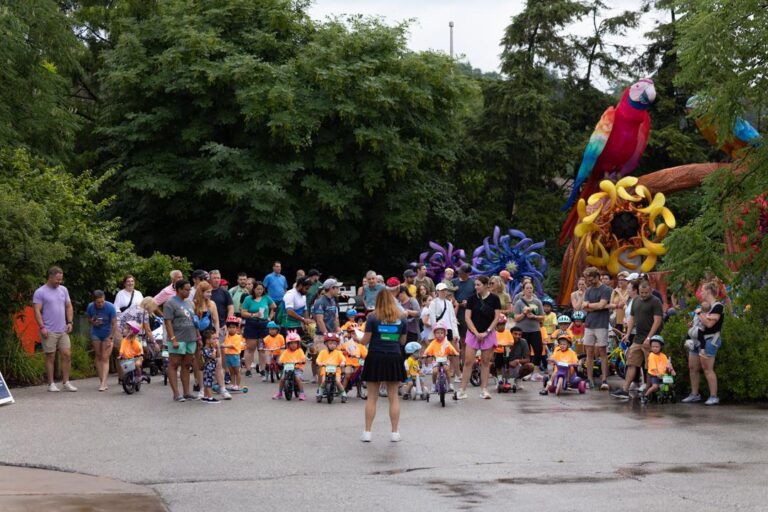 Trike & Bike 2025 – Elephant Loop