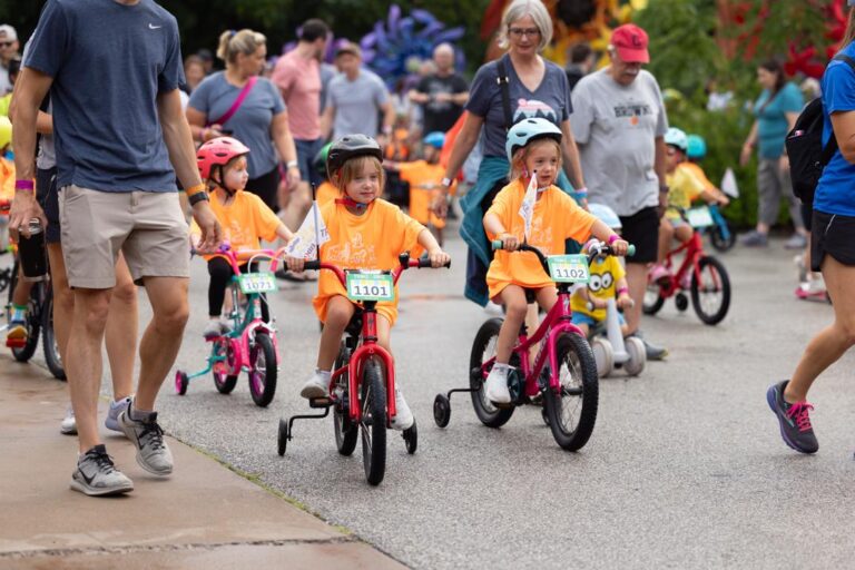 Trike & Bike 2025 – Elephant Loop