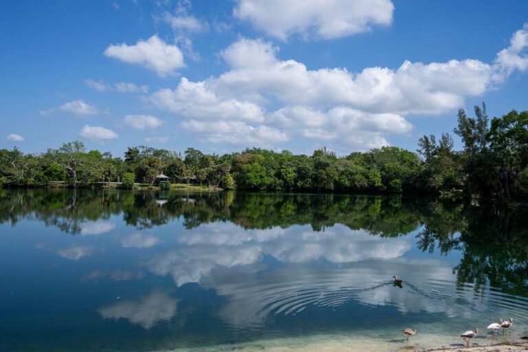 Florida for the Cure 2026 – The FORT