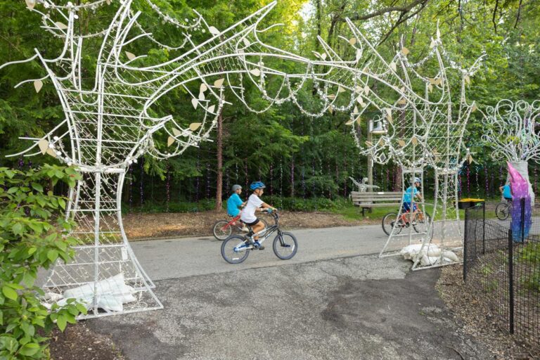 Trike & Bike 2026 – Wilderness Trek Loop