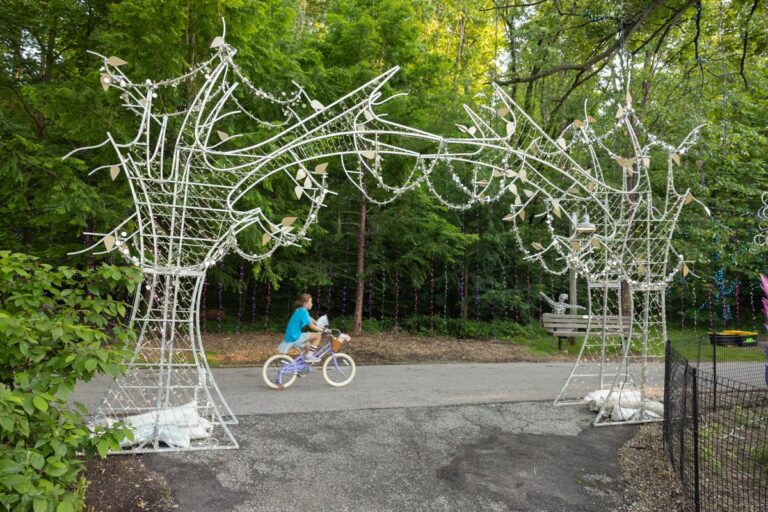 Trike & Bike 2026 – Wilderness Trek Loop
