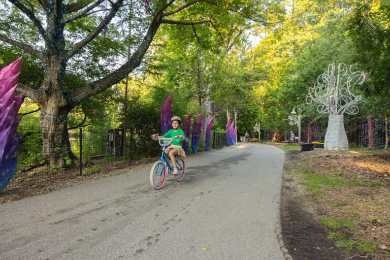 Trike & Bike 2026 – Wilderness Trek Loop