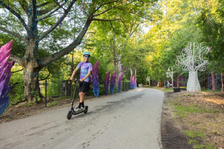 Trike & Bike 2026 – Wilderness Trek Loop